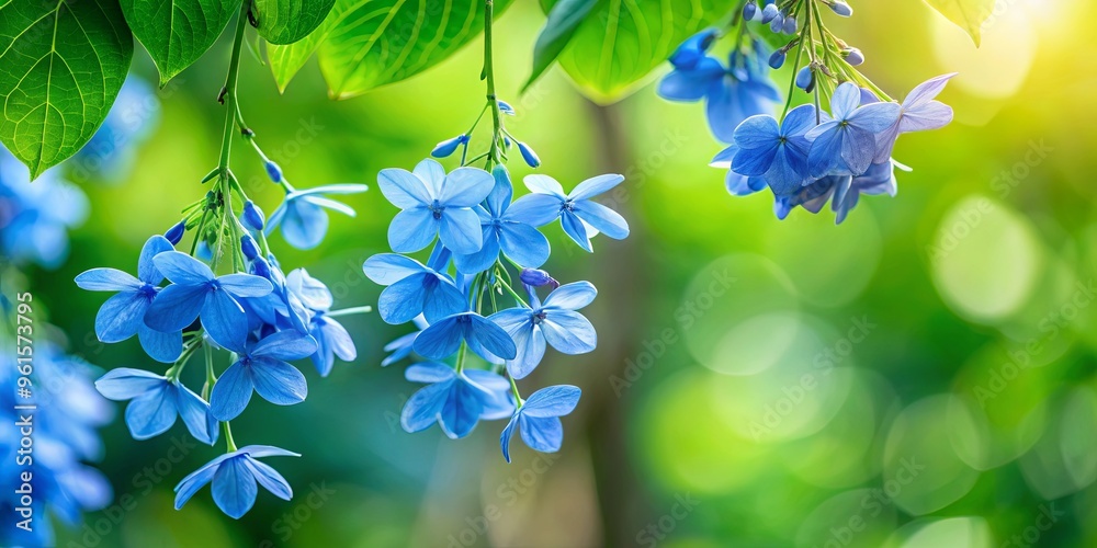 Wall mural Close-up of blue blossoms hanging from a lush green tree with a soft, blurred background