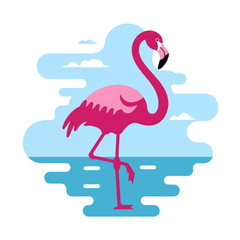 pink flamingo vector
