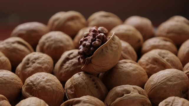 walnut nut 