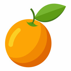 kumquat vector design on a white background