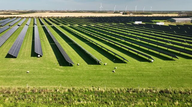 Pan from left to right over a ground-mounted solar park with solar trackers and grazing sheep, with multiple wind turbines in the distance.