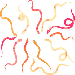 Colored snakes with a pattern on the back and head. Everything is in warm colors - just for girls. Vector illustration