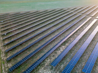 Solar farm and sun light. Solar power for green energy. Sustainable renewable energy. Solar panel installation and maintenance concept. Photovoltaic power station or solar park. Energy sustainability.