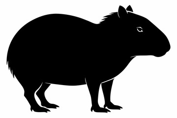  Capybara animal isolated silhouette black color vector art illustration