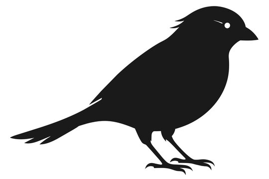 recommend clip art: Canary bird silhouette black color vector art illustration