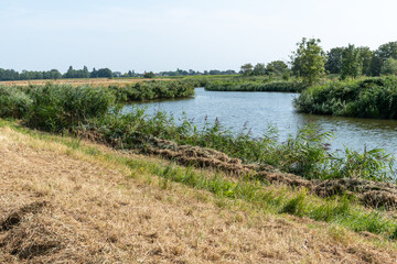 Obraz premium on a canal between meadows in the netherlands