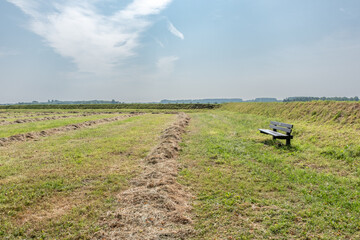 lonely bench between meadows in the netherlands
