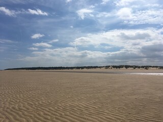 Sand dunes on the beach