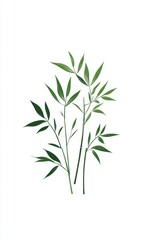 Simple bamboo stalks with green leaves on a white background.