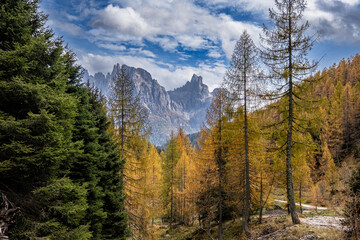 Escursione autunnale a San Martino di Castrozza