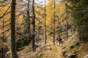 Naklejka premium Escursione a San Martino di Castrozza