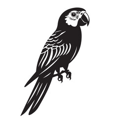 Fototapeta premium Parrot in cartoon, doodle style . Image for t-shirt, web, mobile apps and ui. Isolated 2d vector illustration in logo, icon, sketch style, Eps 10, black and white. AI Generative