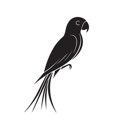 Fototapeta premium Parrot in cartoon, doodle style . Image for t-shirt, web, mobile apps and ui. Isolated 2d vector illustration in logo, icon, sketch style, Eps 10, black and white. AI Generative
