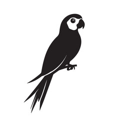 Fototapeta premium Parrot in cartoon, doodle style . Image for t-shirt, web, mobile apps and ui. Isolated 2d vector illustration in logo, icon, sketch style, Eps 10, black and white. AI Generative