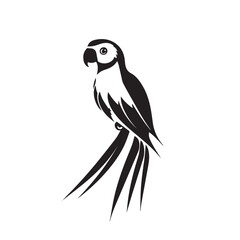 Fototapeta premium Parrot in cartoon, doodle style . Image for t-shirt, web, mobile apps and ui. Isolated 2d vector illustration in logo, icon, sketch style, Eps 10, black and white. AI Generative