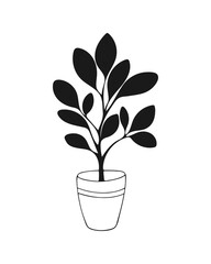 Indoor tree plant in pot. Flowerpot. Hand drawn doodle drawing, isolated on white background.