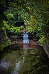 parque natural com cascata
