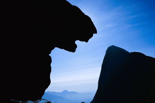 Jaguar Rock Silhouette, Kolukkumalai, Suryanelli, Theni, Tamilnadu, India, Asia