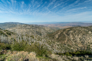 A mountain range with a clear blue sky and a few trees