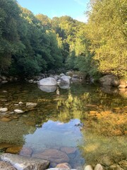 Corrente de &aacute;gua na floresta