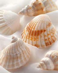 Obraz premium Close-up of multiple seashells with a pearlescent finish, highlighting their shapes and textures.