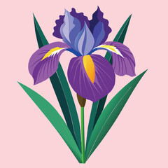 iris-flowerยังไม่เสร็จ