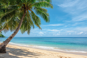 Obraz premium Escape to Paradise: A serene palm tree leans over a pristine beach, where turquoise waters gently lap the shore under a clear blue sky.