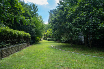Background texture of a vacant green grass lawn surrounded by dense trees providing shade and shrubs in the garden bed. An urban landscape with outdoor public green space. Copy space for design