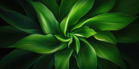 Obraz premium Green leaves forming a spiral shape background