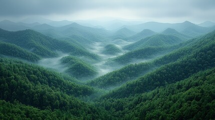 Naklejka premium Lush green hills surround a misty valley in the Appalachian Mountains during early morning light