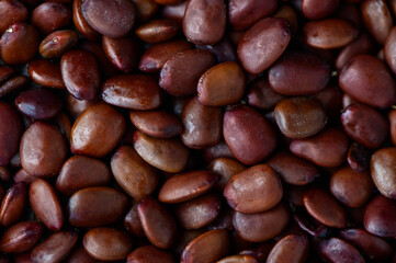 carob seeds old measure faith diamonds as background