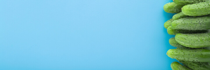 Fresh green short small cucumbers on light blue table background. Pastel color. Closeup. Wide banner. Empty place for text. Top down view.