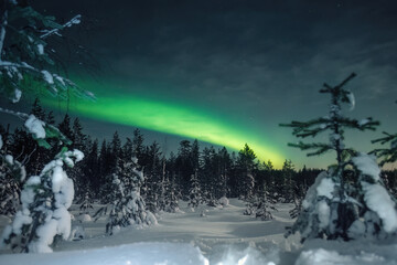 Northern lights in night sky over snowy forest outside of Rovaniemi, Lapland