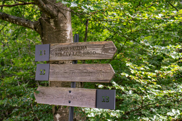Slowenien / Bled / Bohinji
