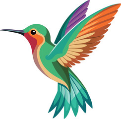 Obraz premium Colorful vector illustration of a hummingbird, showcasing its vibrant feathers and dynamic pose in a stylized design