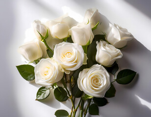 Obraz premium bouquet of white roses, neutral flowers, isolated on whites; rose bud in the sunlight with blank place for text