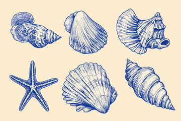 Minimalist hand drawn seashells vector illustration collection. Art for greeting cards, wedding invitations, poster design, postcards, branding, logo design, background