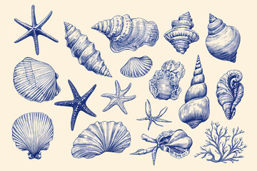 Minimalist hand drawn seashells vector illustration collection. Art for greeting cards, wedding invitations, poster design, postcards, branding, logo design, background