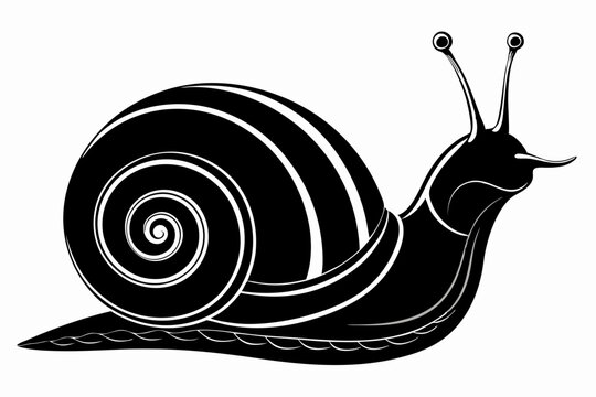 recommend clip art: snail vector silhouette 