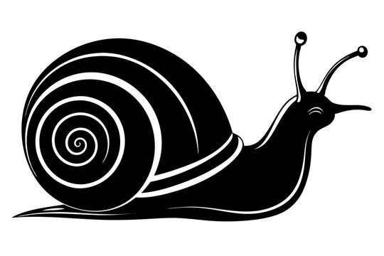recommend clip art: snail vector silhouette 