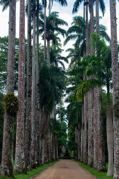 Jardim recanto de paz com a natureza