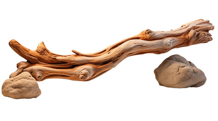 Obraz premium Twisted driftwood, studio view, isolated on transparent background.