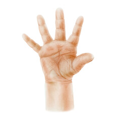 Open small palm of a newborn baby as a symbol of new life, birth,motherhood,family and love. Watercolor illustration isolated on white background