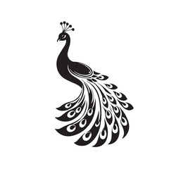 Fototapeta premium Peacock in cartoon, doodle style . Image for t-shirt, web, mobile apps and ui. Isolated 2d vector illustration in logo, icon, sketch style, Eps 10, black and white. AI Generative