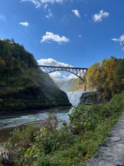 bridge over the river