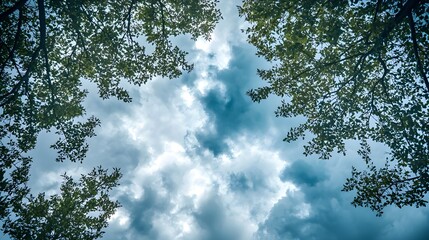 Obraz premium A shot of a cloudy sky seen through the branches of a tree, with the branches framing the clouds and creating a natural pattern.