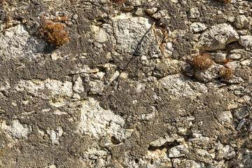 Detail of a granite wall with cement, large and small gray stones stacked on top of each other part of an old historic Portuguese house.