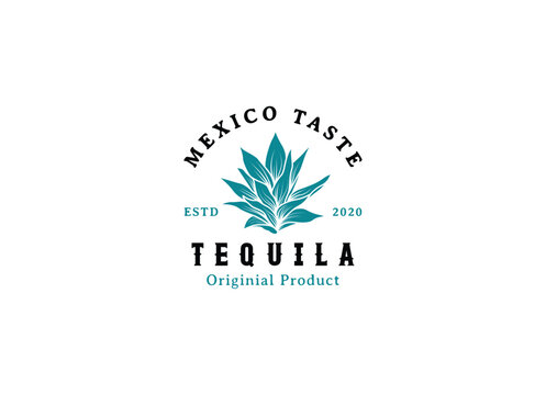 Tequila drinks Mexico logo design. Vector illustration of Mexican Blue Agave Plant for Tequila Drink Vintage Label Logo Design