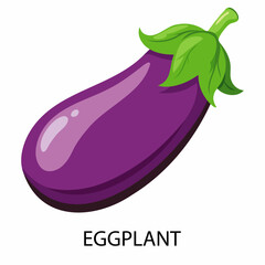 Eggplant in cartoon style on a white background. Vector illustration.
