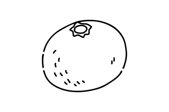 recommend clip art: シンプルな蜜柑の線画イラスト